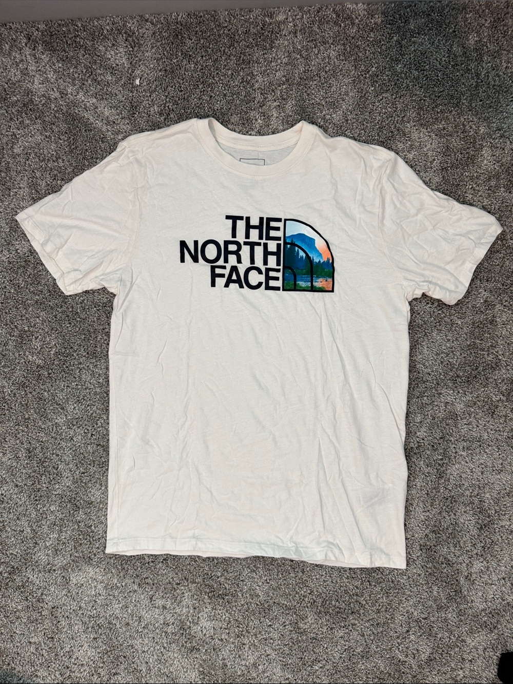 The North Face White Logo Tee with Scenic Graphic